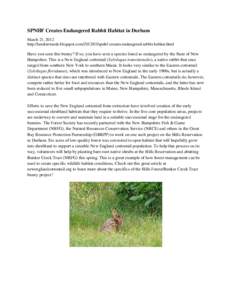 SPNHF Creates Endangered Rabbit Habitat in Durham March 21, 2012 http://landstewards.blogspot.comspnhf-creates-endangered-rabbit-habitat.html Have you seen this bunny? If so, you have seen a species listed as en