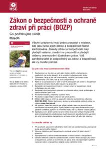 Zákon a zdraví a bezpečnosti Co potřebujete vědět Czech czech law leaflet