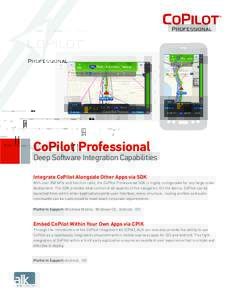 CoPilot Professional  Deep Software Integration Capabilities Integrate CoPilot Alongside Other Apps via SDK With over 250 APIs and function calls, the CoPilot Professional SDK is highly configurable for any large scale d