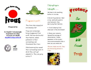 Helping frogs is helping life …….. We have to do something before its too late. ¤ Enrich frog habitats: Plant