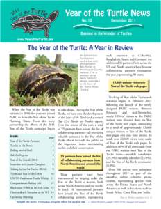 Year of the Turtle News No. 12 December 2011