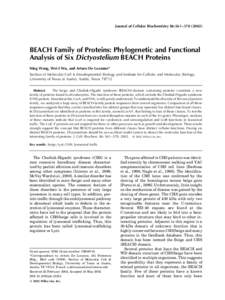 Journal of Cellular Biochemistry 86:561–BEACH Family of Proteins: Phylogenetic and Functional Analysis of Six Dictyostelium BEACH Proteins Ning Wang, Wei-I Wu, and Arturo De Lozanne* Section of Molecular Ce