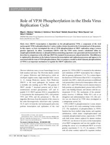 SUPPLEMENT ARTICLE  Role of VP30 Phosphorylation in the Ebola Virus Replication Cycle Miguel J. Martinez,1 Valentina A. Volchkova,1 Herve´ Raoul,2 Nathalie Alazard-Dany,1 Olivier Reynard,1 and Viktor E. Volchkov1