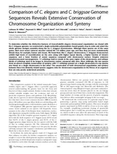 PLoS BIOLOGY  Comparison of C. elegans and C. briggsae Genome Sequences Reveals Extensive Conservation of Chromosome Organization and Synteny LaDeana W. Hillier1, Raymond D. Miller2, Scott E. Baird3, Asif Chinwalla1, Luc