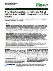 New interaction partners for Nek4.1 and Nek4.2 isoforms: from the DNA damage response to RNA splicing