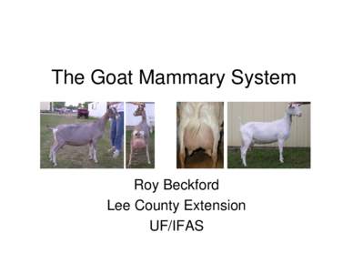 Microsoft PowerPoint - The Goat Mammary System.ppt