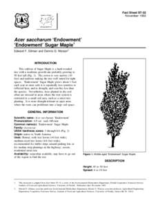 Fact Sheet ST-52 November 1993 Acer saccharum ‘Endowment’ ‘Endowment’ Sugar Maple1 Edward F. Gilman and Dennis G. Watson2