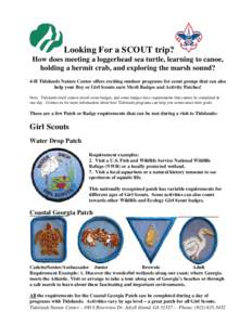 Microsoft Word - Scouts.doc