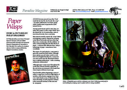Paradise Magzine  Paper Wasps  STORY & PICTURES BY