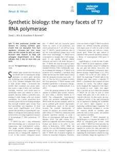 Synthetic biology: the many facets of T7 RNA polymerase