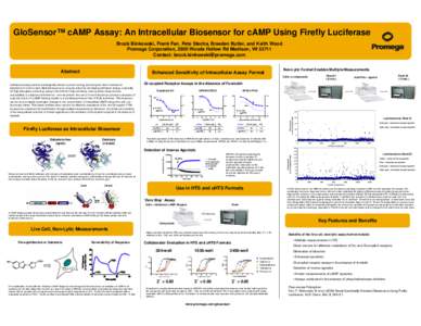 GloSensor(TM) cAMP Assay: An Intracellular Biosensor for cAMP Using Firefly Luciferase Scientific Poster, PS082