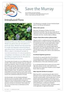 Fact sheet 15 Introduced flora.indd