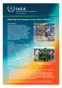 September[removed]Detecting and managing cactus moth in Mexico The challenge…  Opuntia cacti are of great economic,