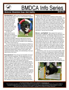 BMDCA Info Series  Bernese Mountain Dogs And Agility Introduction► Agility is one of the fastest growing and most popular dog sports in the U.S. To the spectator, it appears to be an obstacle course