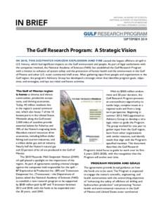 SEPTEMBER[removed]The Gulf Research Program:  A Strategic Vision IN 2010, THE DEEPWATER HORIZON EXPLOSION AND FIRE caused the largest offshore oil spill in U.S. history, which had significant impacts on the Gulf environm
