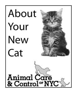 About Your New Cat  Bringing Your New Pet Home