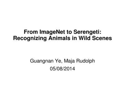 From ImageNet to Serengeti: Recognizing Animals in Wild Scenes Guangnan Ye, Maja Rudolph