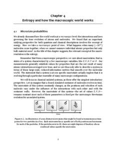 Chapter 4 Entropy and how the macroscopic world works 4.1 Microstate probabilities