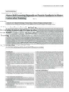 The Journal of Neuroscience, July 21, 2004 • 24(29):6515– 6520 • 6515  Brief Communication Motor Skill Learning Depends on Protein Synthesis in Motor Cortex after Training