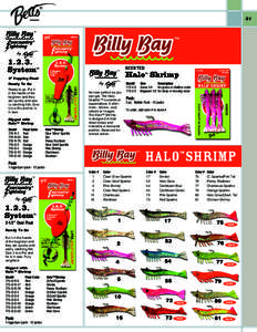 BillyBay_07haloproducts.indd