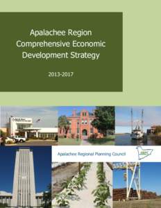 July[removed]Apalachee Region Comprehensive Economic Development Strategy 2
