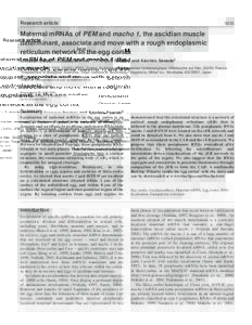 Research articleMaternal mRNAs of PEM and macho 1, the ascidian muscle determinant, associate and move with a rough endoplasmic