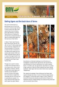 APRILSelling tigers out the back door of farms The recent sentencing by a Binh Duong court of one of the province’s notorious tiger farmers