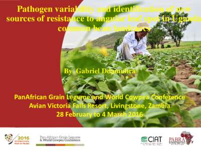 Pathogen variability and identification of new sources of resistance to angular leaf spot in Uganda common bean landraces By Gabriel Ddamulira PanAfrican Grain Legume and World Cowpea Conference