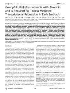 PLoS BIOLOGY  Drosophila Brakeless Interacts with Atrophin and Is Required for Tailless-Mediated Transcriptional Repression in Early Embryos Achim Haecker1, Dai Qi1, Tobias Lilja1, Bernard Moussian2, Luiz Paulo Andrioli3
