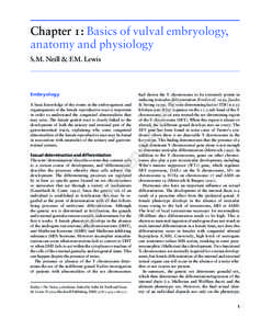 Chapter 1: Basics of vulval embryology, anatomy and physiology S.M. Neill & F.M. Lewis AL