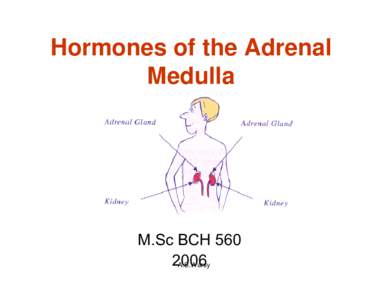 Hormones of the Adrenal Medulla