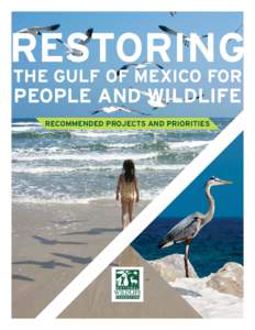 RESTORING THE GULF OF MEXICO FOR PEOPLE AND WILDLIFE RECOMMENDED PROJECTS AND PRIORITIES  Photo: Jim Klug, jimklug.com