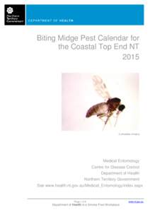 Culicoides / Zoology / Medical entomology / Midge / Mangrove / Ceratopogonidae / Phyla / Protostome