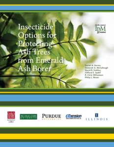Insecticide Options for Protecting Ash Trees from Emerald Ash Borer