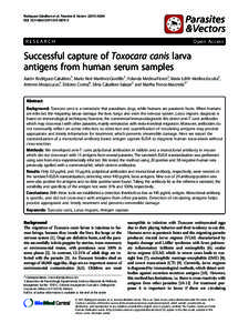 Successful capture of Toxocara canis larva antigens from human serum samples