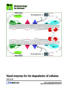 Novel enzymes for the degradation of cellulose Horn et al. Horn et al. Biotechnology for Biofuels 2012, 5:45 http://www.biotechnologyforbiofuels.com/content  Horn et al. Biotechnology for Biofuels 2012, 5:45