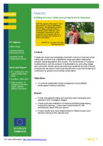 EuropeAid  Forestry Building incomes while preserving forest in Tanzania  