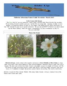 Fullerton Arboretum Nature Guide Newsletter March 2015 In the Cement with Bement 