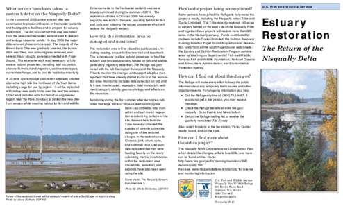 What actions have been taken to restore habitat on the Nisqually Delta? In the summer of 2008 a new exterior dike was constructed to protect 246 acres of freshwater wetlands and headquarters facilities and to prepare for
