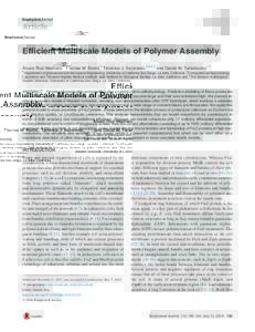 Efficient Multiscale Models of Polymer Assembly