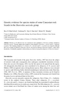 Genetic evidence for species status of some Caucasian rock lizards in the Darevskia saxicola group Ross D. MacCulloch 1 , Jinzhong Fu 1 , Ilya S. Darevsky2 , Robert W. Murphy1