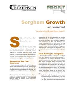 BSorghum Growth and Development Thomas Gerik, Brent Bean and Richard Vanderlip*