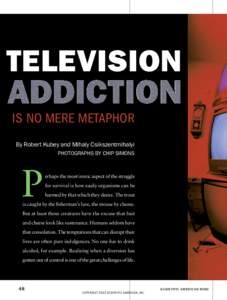 TELEVISION IS NO MERE METAPHOR By Robert Kubey and Mihaly Csikszentmihalyi PHOTOGRAPHS BY CHIP SIMONS  P