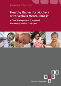 Framework Overview  Healthy Babies for Mothers with Serious Mental Illness: A Case Management Framework for Mental Health Clinicians