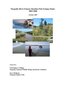 Nisqually River Estuary Baseline Fish Ecology Study: October 2007 Prepared by: