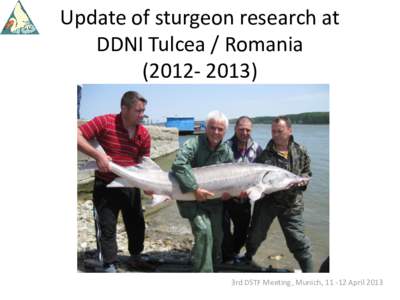 Update of sturgeon research at DDNI Tulcea / Romania[removed]3rd DSTF Meeting, Munich, [removed]April 2013