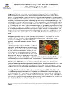 Spineless red safflower variety – Rubis Red – for wildlife food plots, coverage, graze and grain Background: Safflower is an annual, broadleaf oilseed crop adapted chiefly to the small-grain production areas of the w