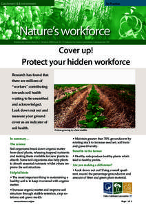 Catchment & Environment  In Practice Nature’s workforce	 Biodiversity Series: How To | October 2008 Issue 10 | Produced by Cotton Catchment Communities CRC