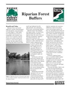 MF2746 Riparian Buffers Best Management Practices: Riparian Forest Buffers