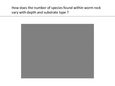 How does the number of species found within worm rock vary with depth and substrate type ? Clams, brittle stars, and sea urchins  Decapod crustaceans